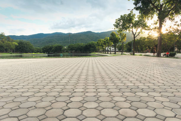 Best Driveway Pavers Near Me  in Tryon, NC